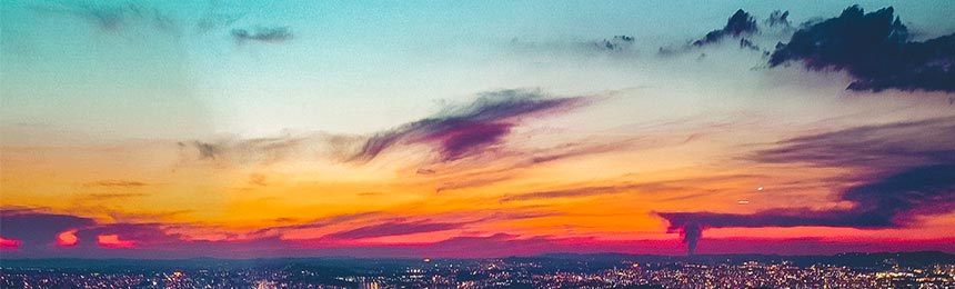 温州茶虫网_温州品茶